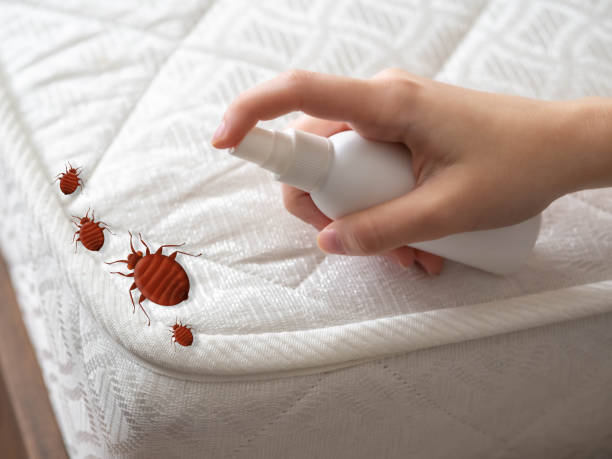 Best Pest Control Near Me in Danville, IL